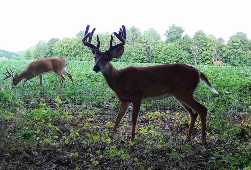 Screen Shot 2025-10-07 at 11.39.35 AM