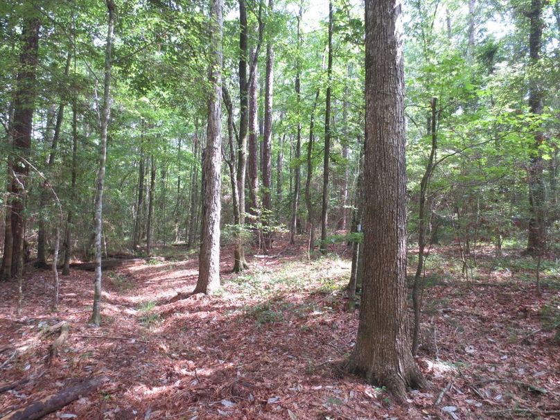 4F104111-17D4-4057-95A2-4CDBA23B0FE3_1_105_c