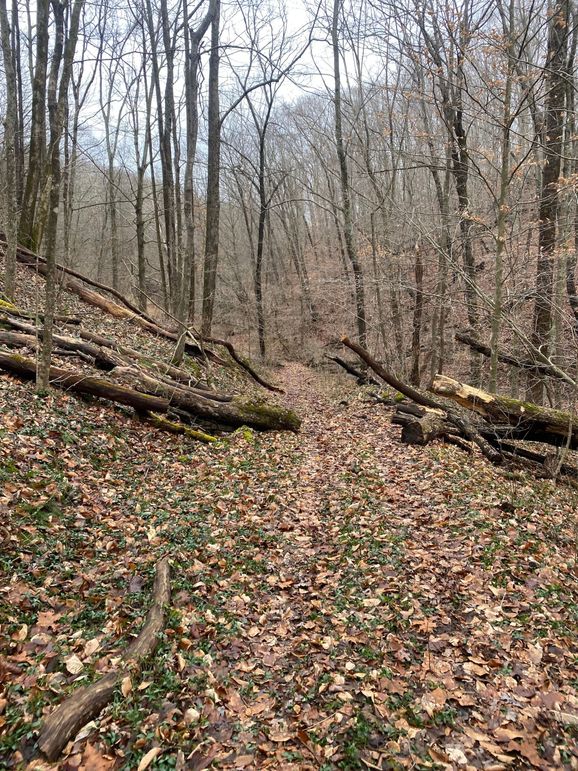 Greenup Ky Mauk 46.15 06