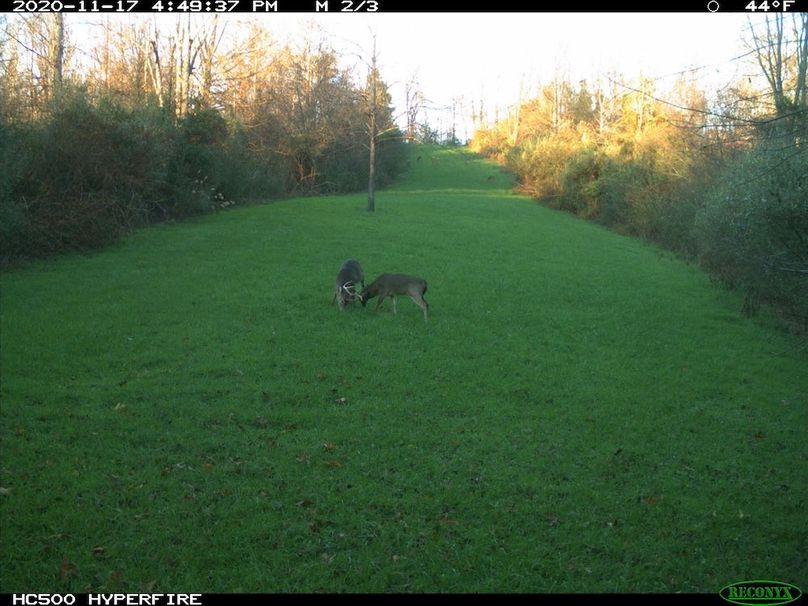 2020-11-17 16-49-37 M 2_3