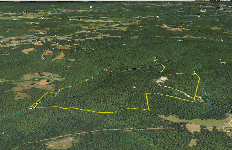 Screenshot 2024-04-15 at 10.02.05 AM