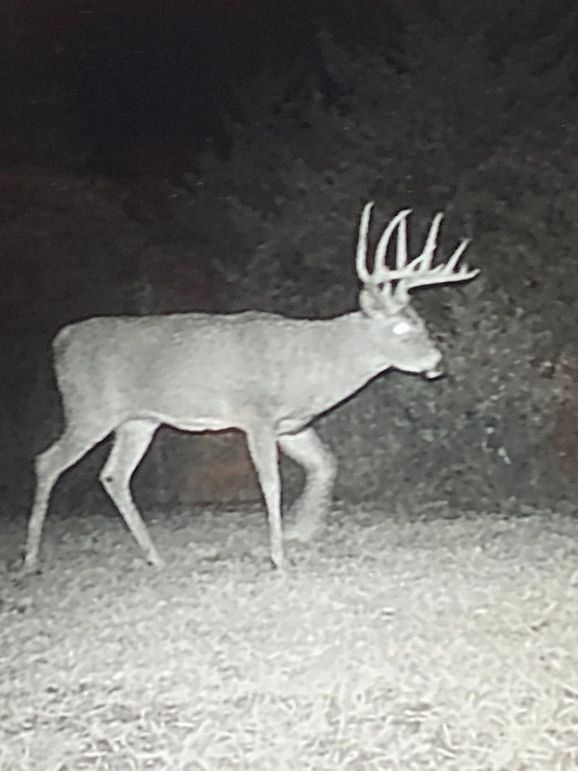 62552254331__7ACC811E-5D26-4B8D-A396-8F7B403222F3