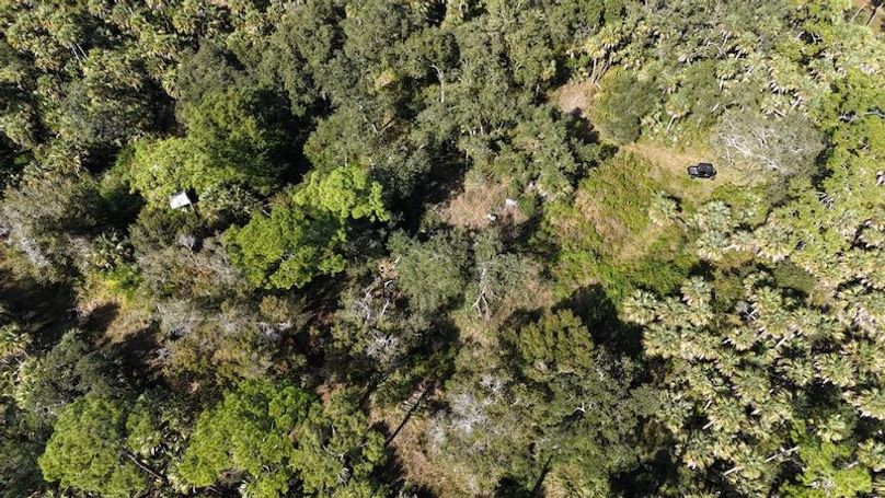 DJI_20251121124845_0035_D