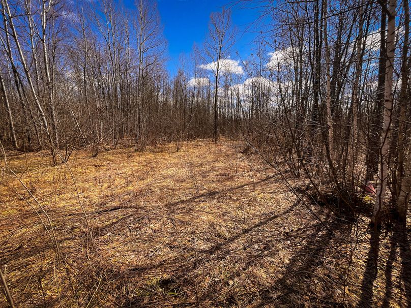 Oswego_165.52_Lashomb_Photos_7