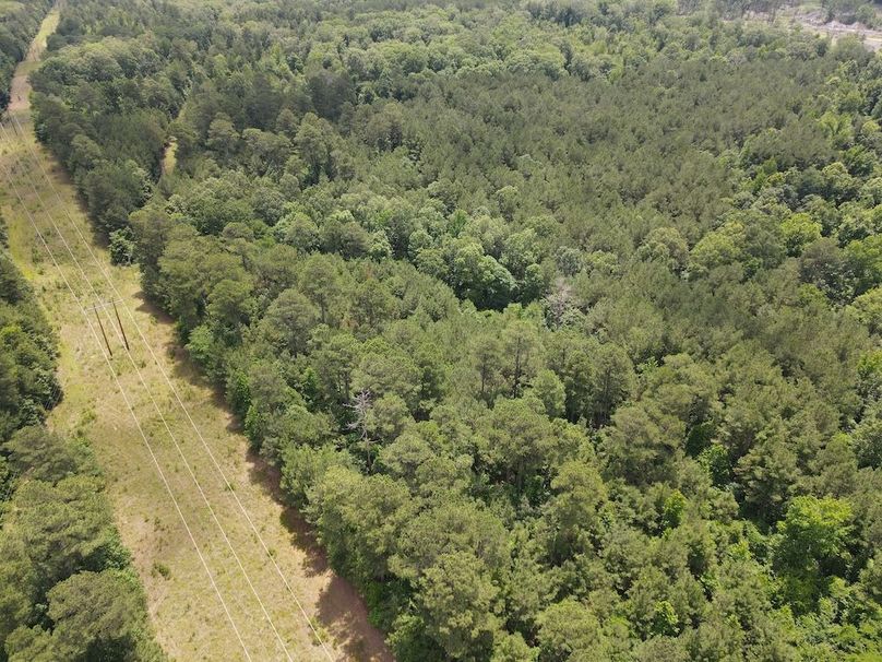 DJI_0266