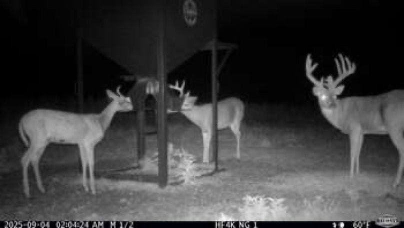 82238f2de8e62930fa6ccd17bc154356-small