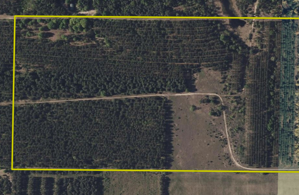 Screen Shot 2025-05-01 at 11.38.07 AM