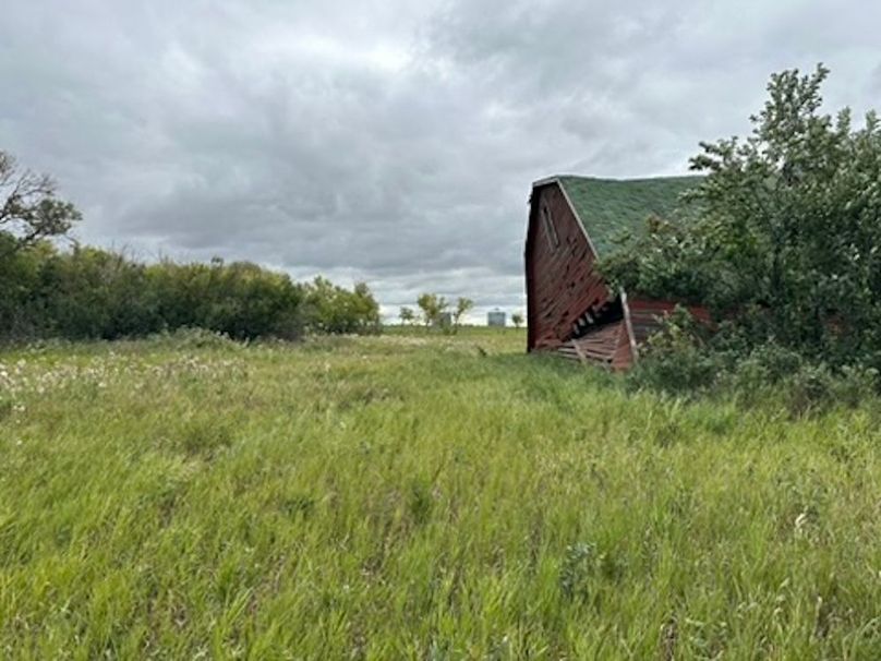 776617D3-4C0F-49F5-AAAF-D54C42228578_4_5005_c