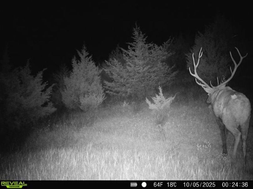 Copy of 860516067863955-100-2-10052025002436-W1008148