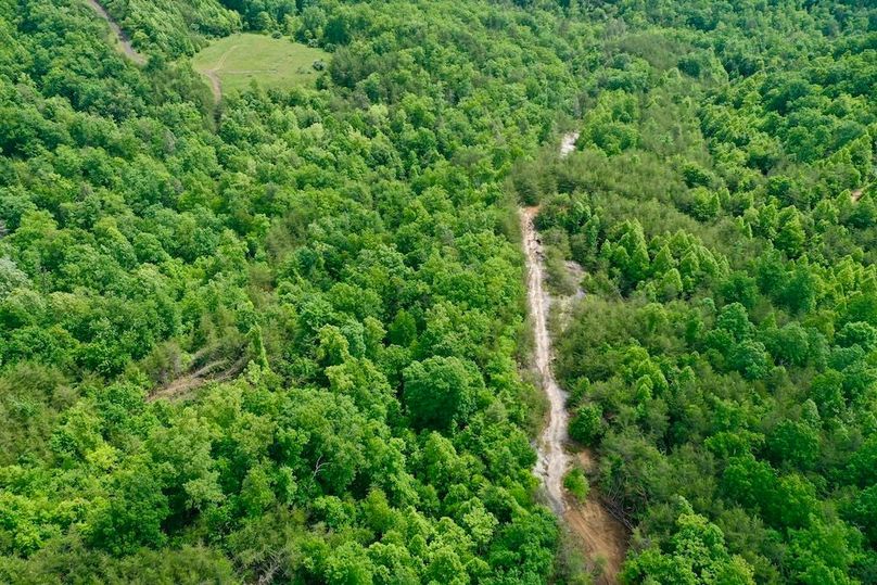 DJI_0923