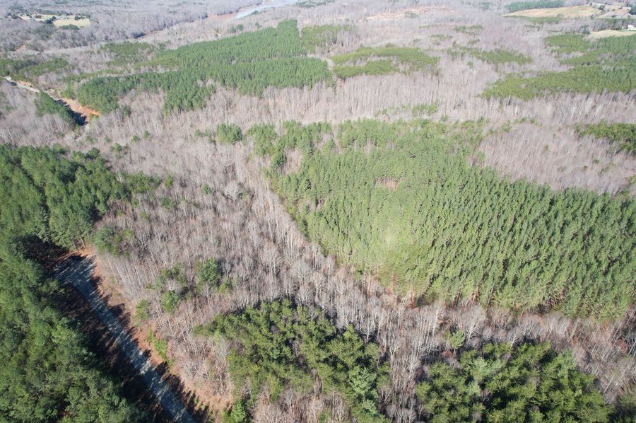 DJI_0280