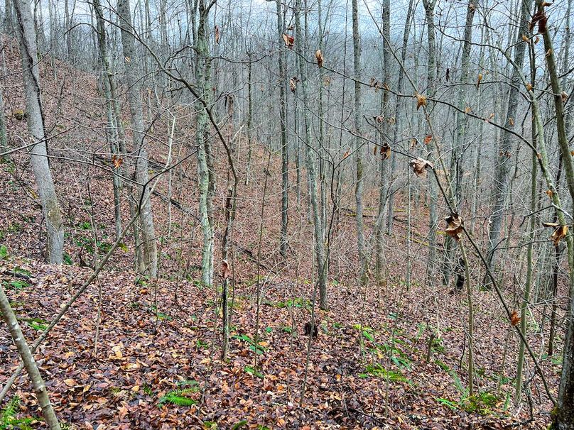 Calhoun, WV 225.69 AC Duffield-55