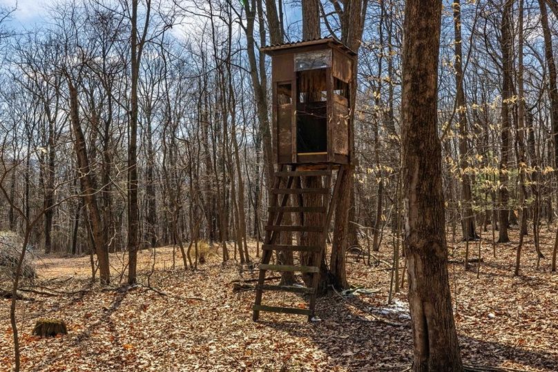 25-web-or-mls-IMG-25