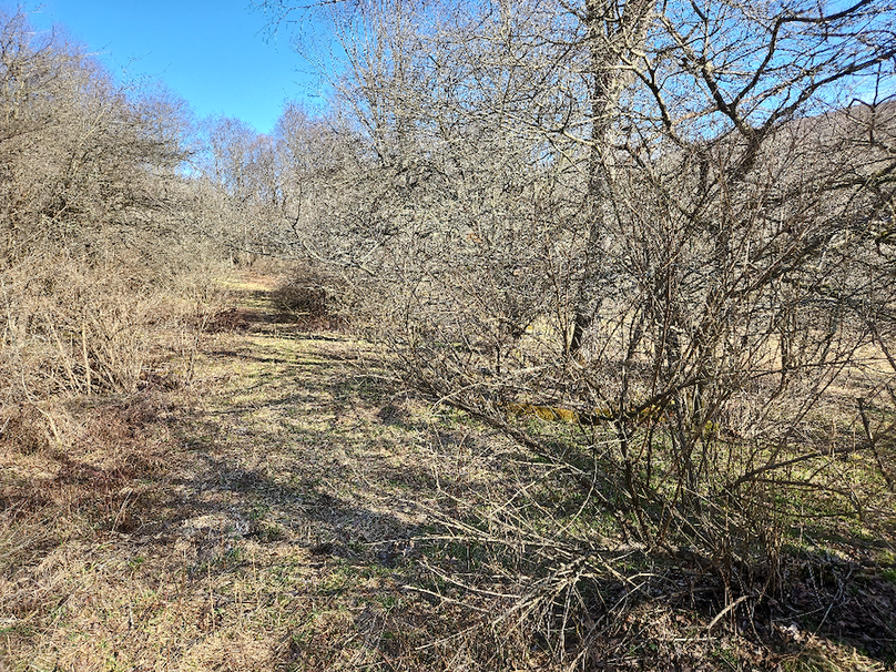 photo_2f157057-273f-4e07-9705-d5cb9af54d9f