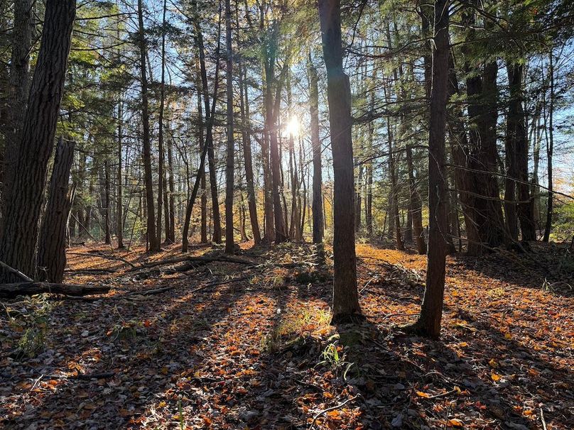 Oswego_26.28_Koehler Photo 35