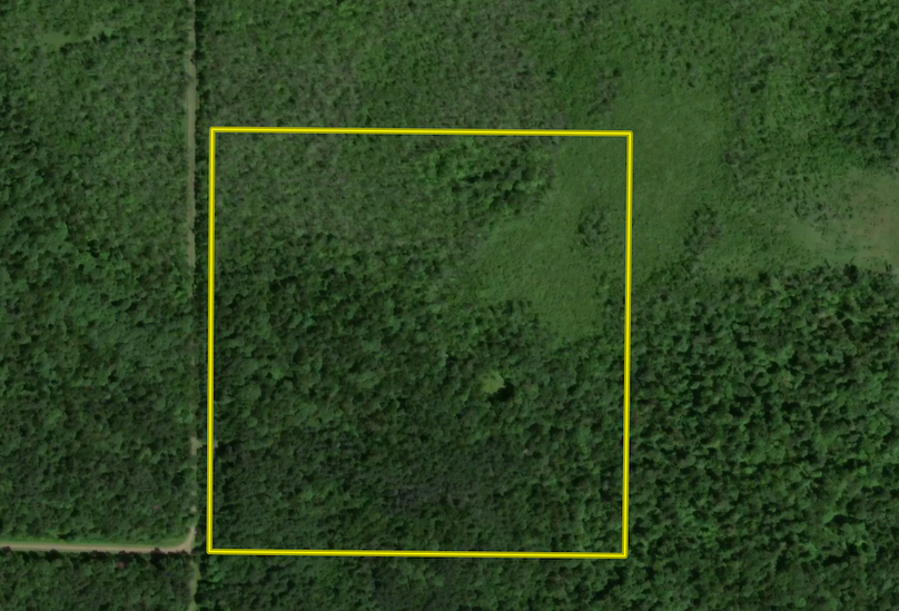 Screenshot 2024-03-18 at 2.45.15 PM copy