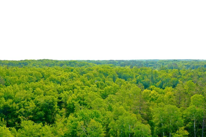 DJI_0452