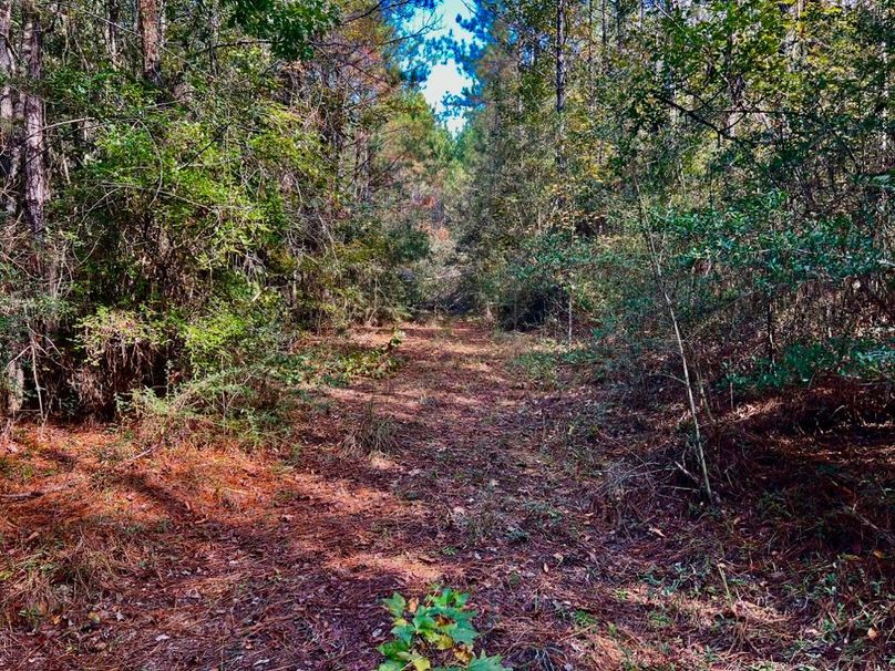 524BFFE3-B3B1-41AD-A17E-9A3BA88BCF40_1_201_a