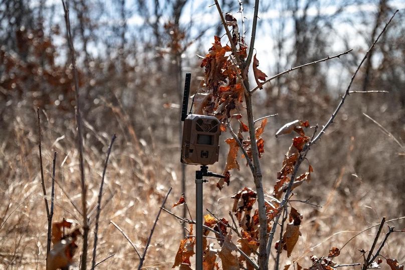 Whiteside IL 49.22_29