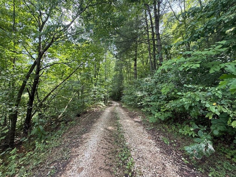 033 the internal gravel drive leading up the valley
