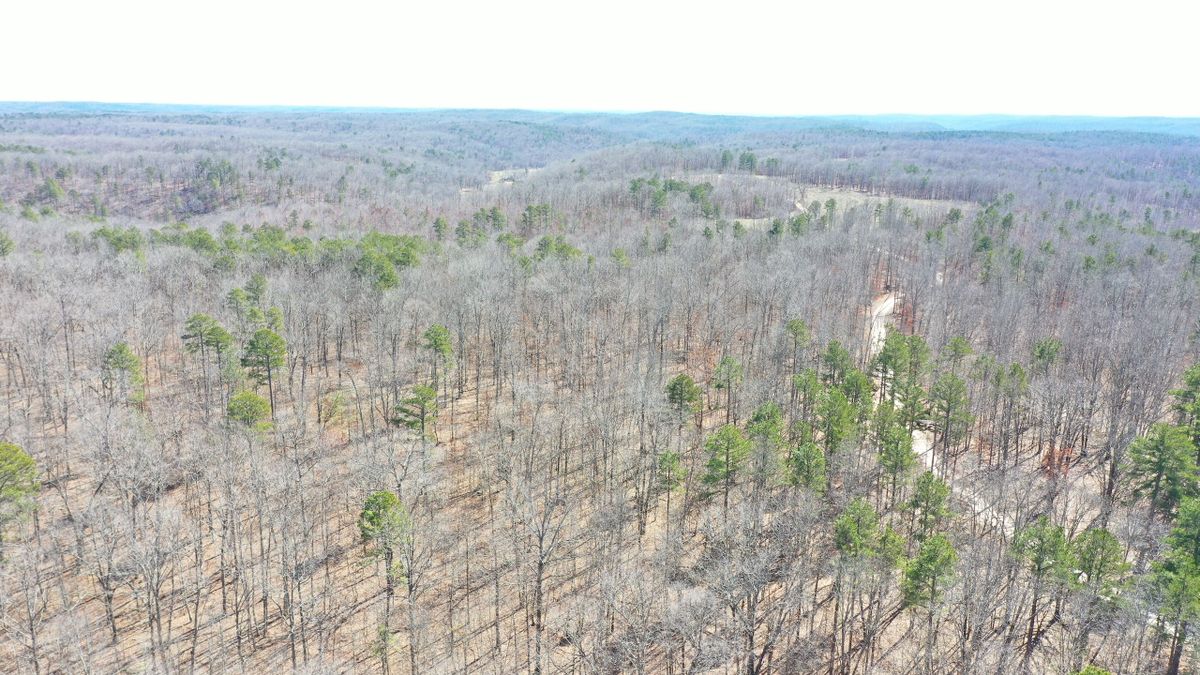 Hunting Tract Bordering National Forest With Potential Building