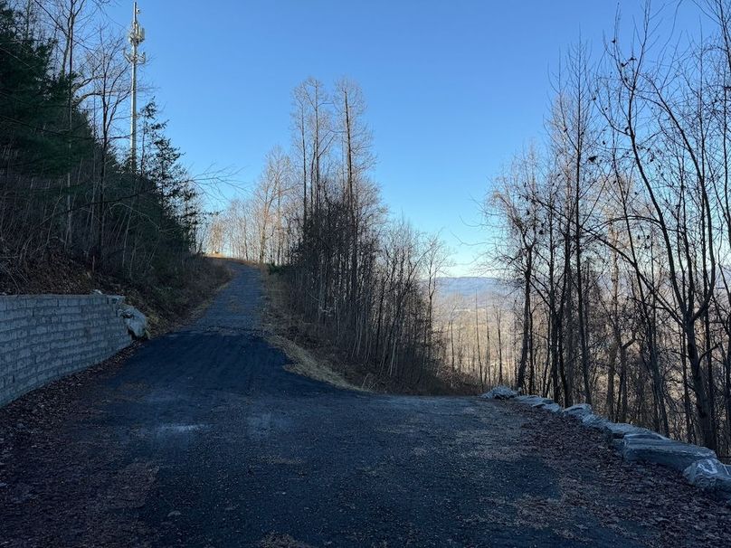 05_Clay 124.76 Fleaback-29