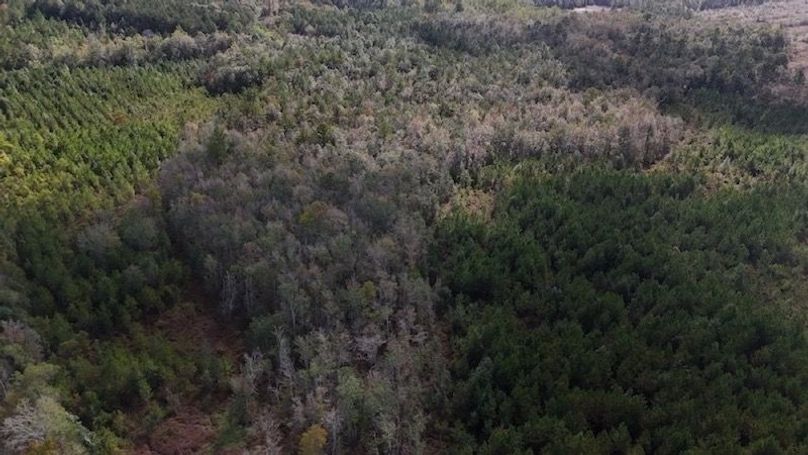 DJI_20231026105628_0013_D