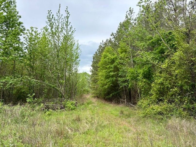 08344F49-B944-46C7-A2FB-BD41FABA20AE_1_105_c