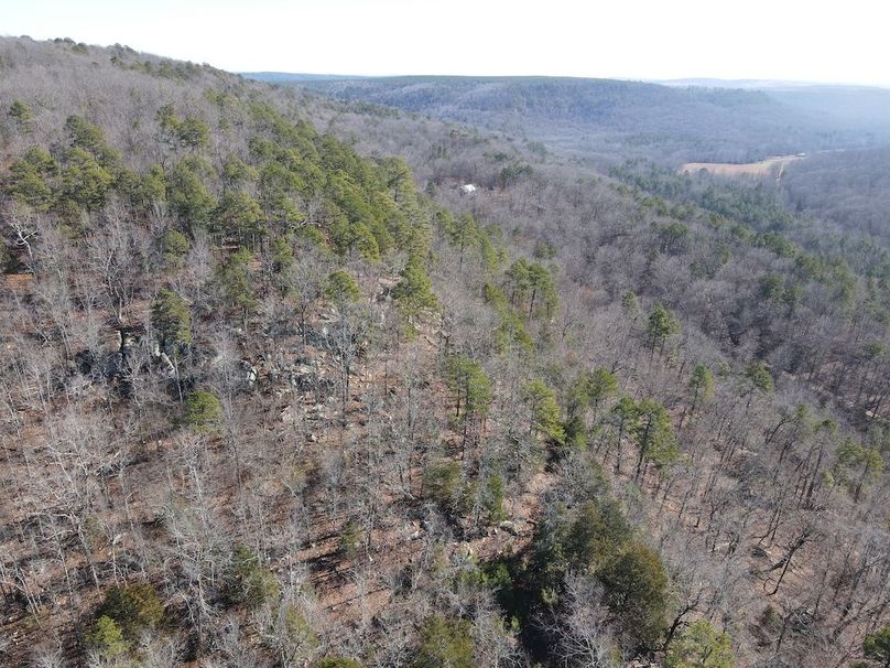DJI_0049