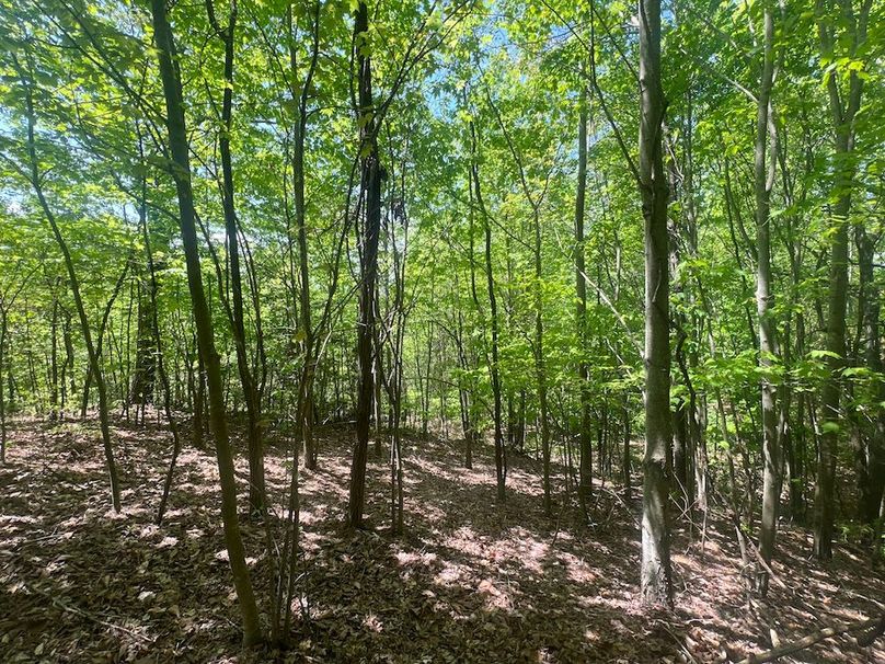 08 Buildable lot pic