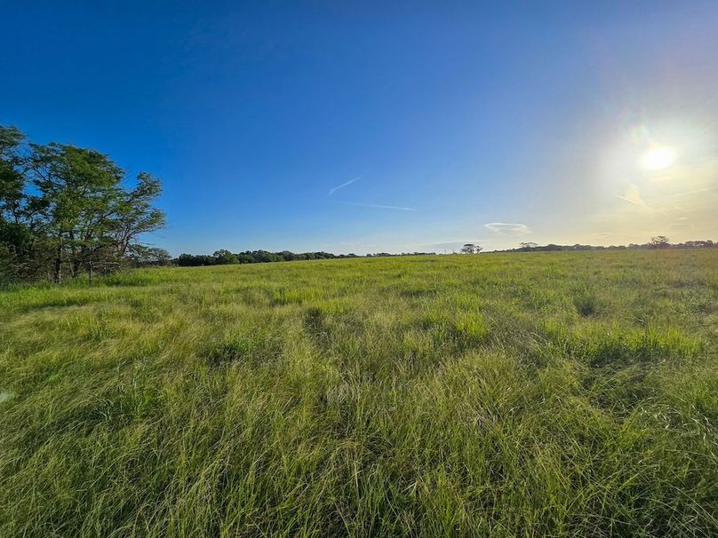 Copy of 20250729_073753