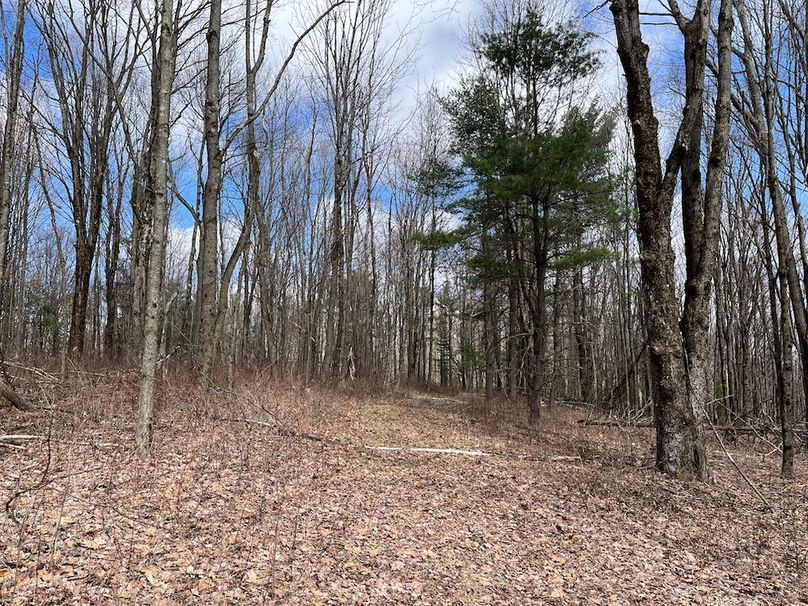 Chemung_116.3_Stamm Photo 49