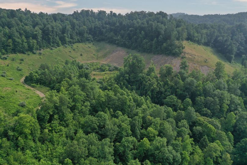007 aerial drone shot of the northeast area of the property