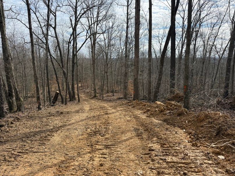 014 the newly opened road leading into the perfect spot to build a cabin or home