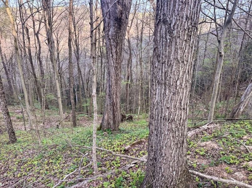 Screenshot 2026-04-21 at 11.35.53 AM