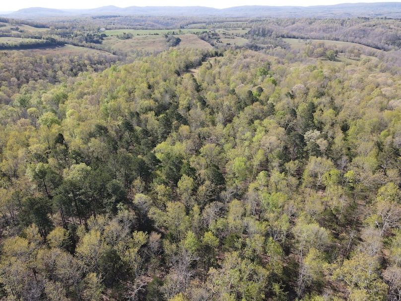DJI_0301