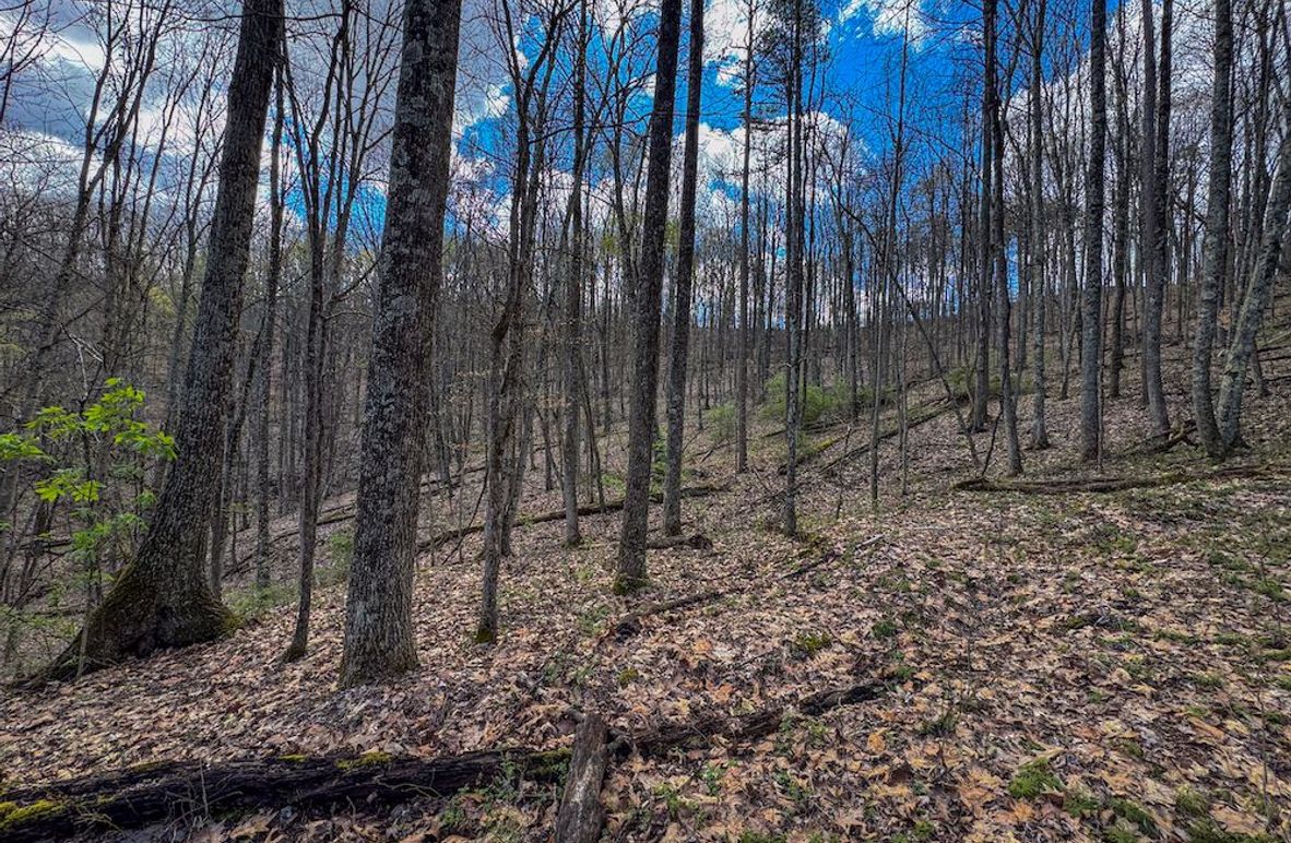 Wirt, WV 62.5 AC Full-01