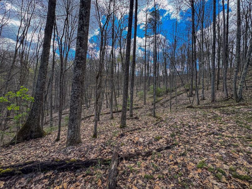 Wirt, WV 62.5 AC Full-01