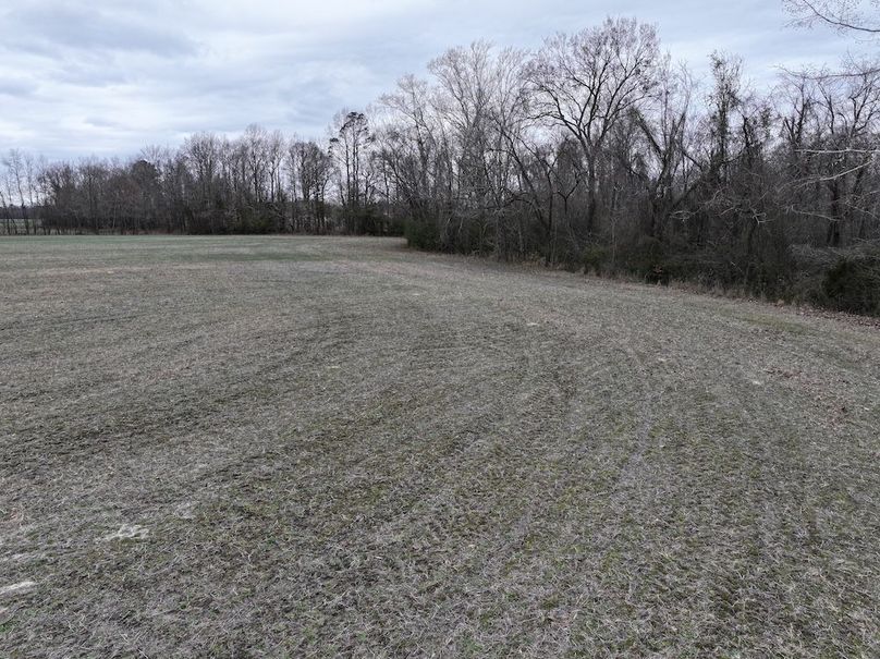 dji_fly_20260218_144728_0547_1772499962633_photo