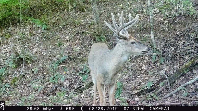 trail cam7