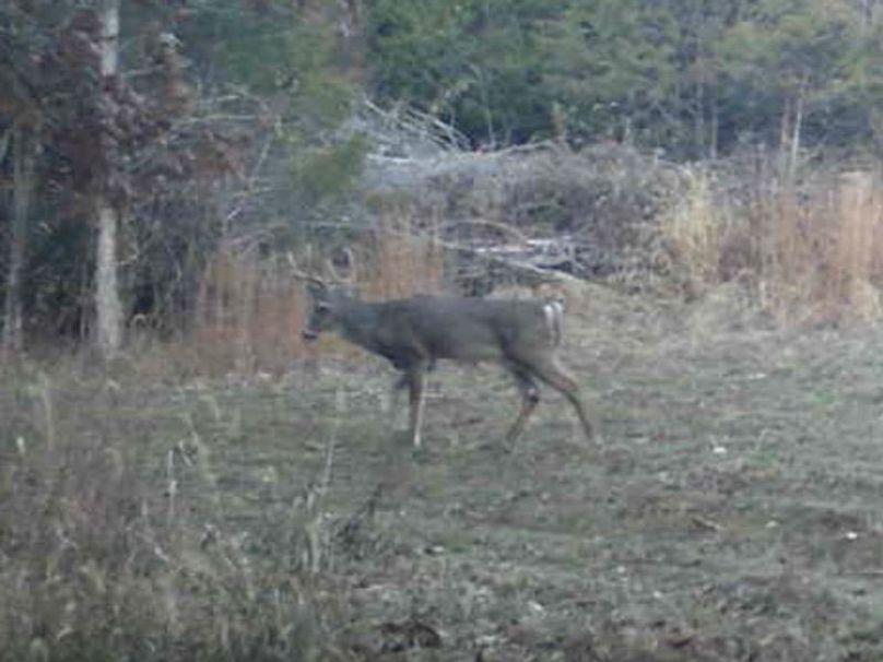 Screenshot 2024-03-02 134005