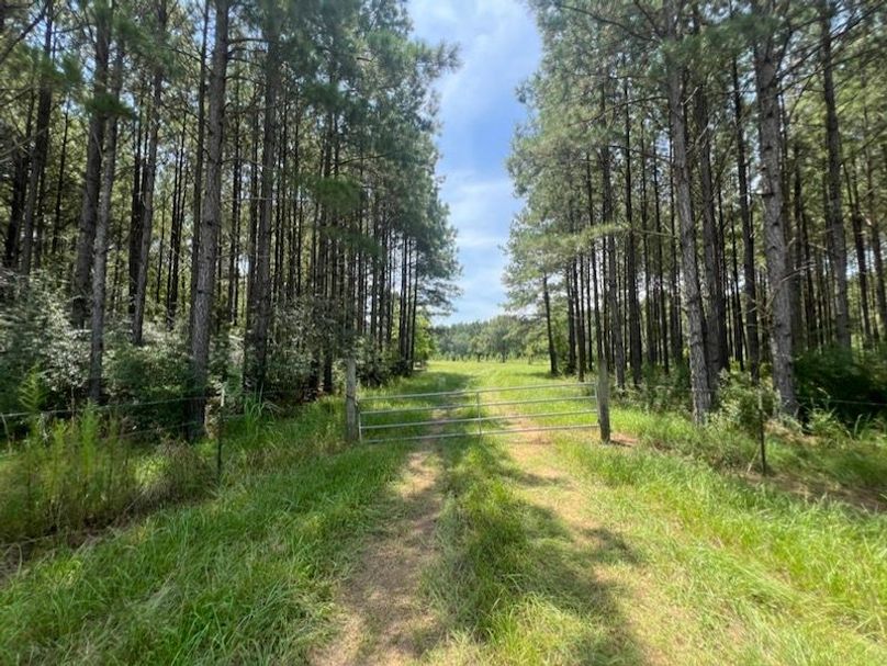 84313E07-973A-48F9-8AB3-33497015DFEC_1_105_c