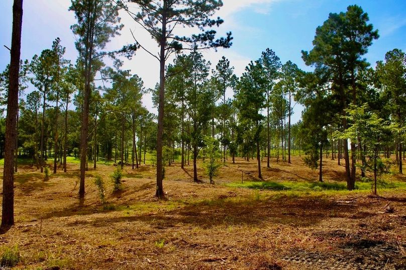 9AC5C2BF-D09A-4004-8B2A-60E5A0F1DC1D_1_105_c