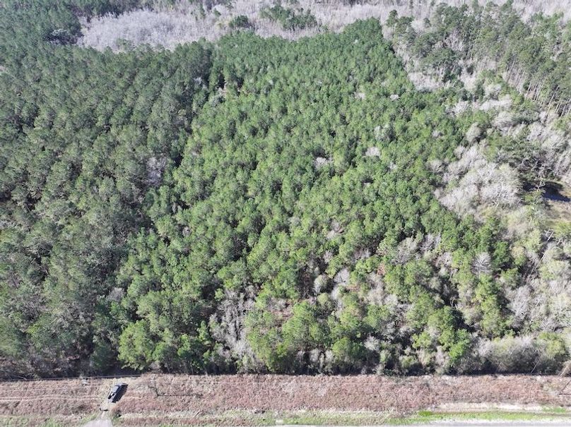 dji_fly_20260112_105950_0802_1768323796289_photo