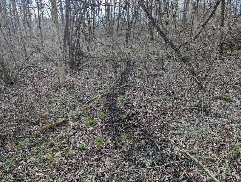 PXL_20230213_155227549