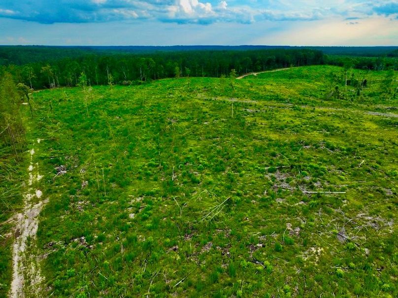 20685324-5605-4790-8C06-F86D5680EEE4_1_105_c