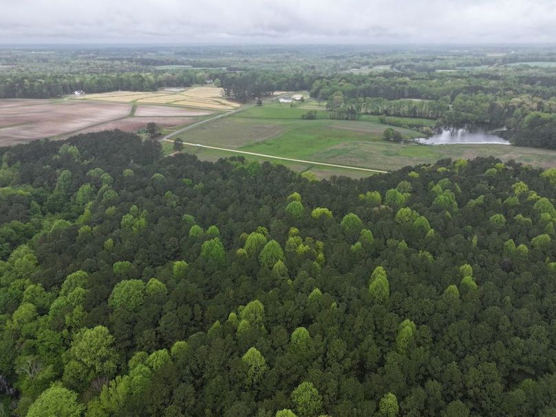 DJI_20250411111347_0035_D