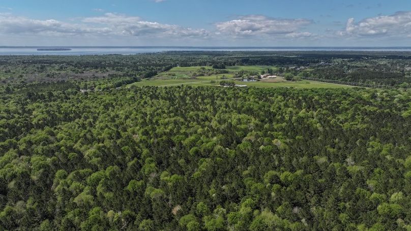 DJI_20260327115108_0024_D