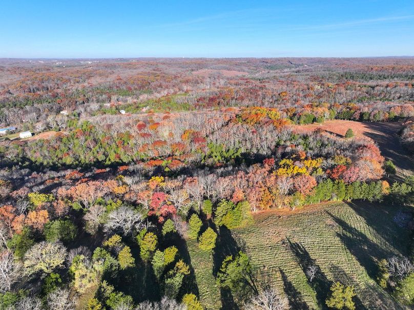 DJI_20251112080747_0871_D