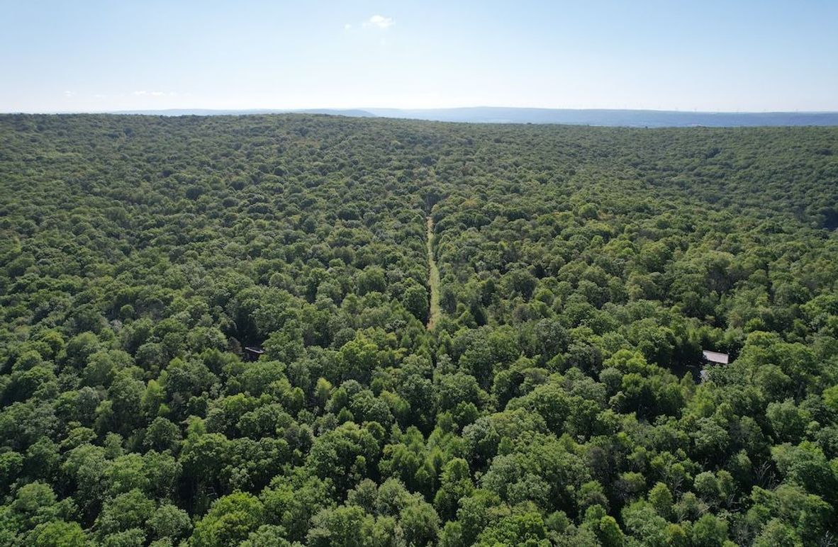 dji_fly_20260602_085134_615_1780663574263_photo
